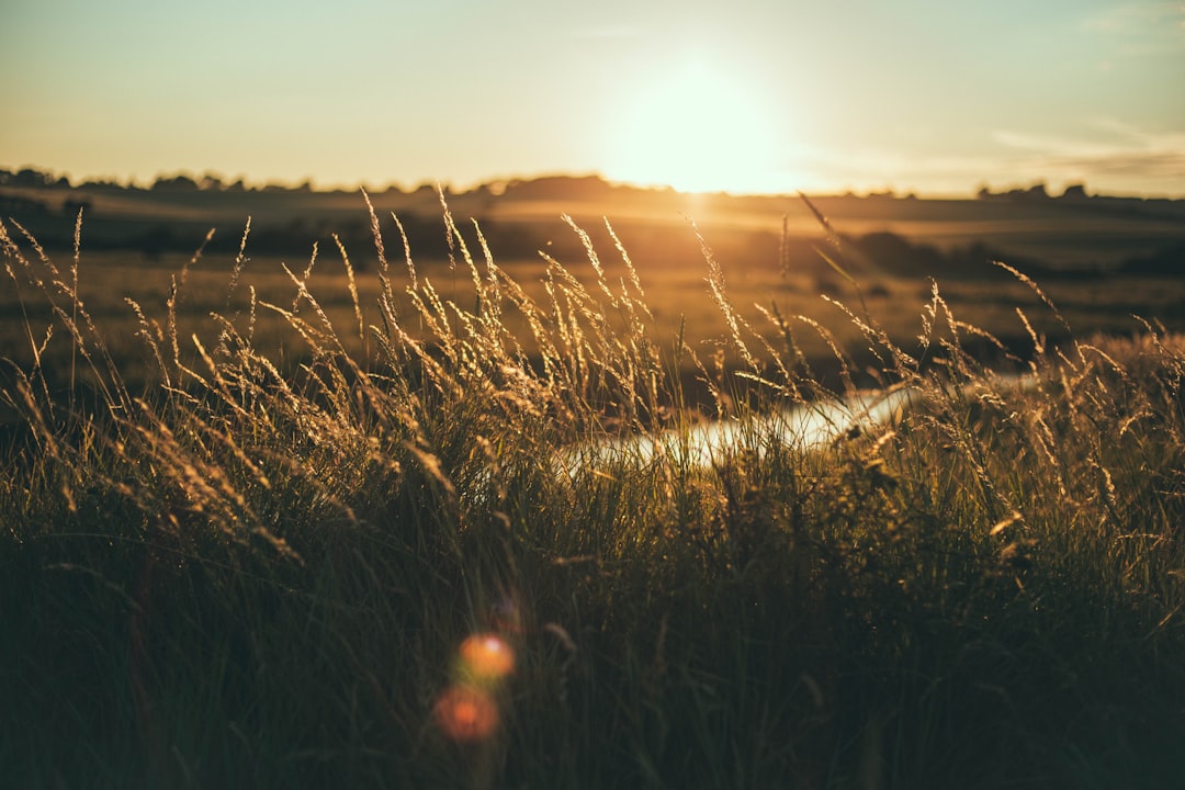 Photo Country landscape